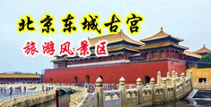 美女被操高潮网站中国北京-东城古宫旅游风景区